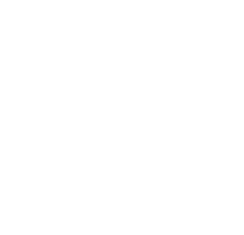 McNeice Ventures